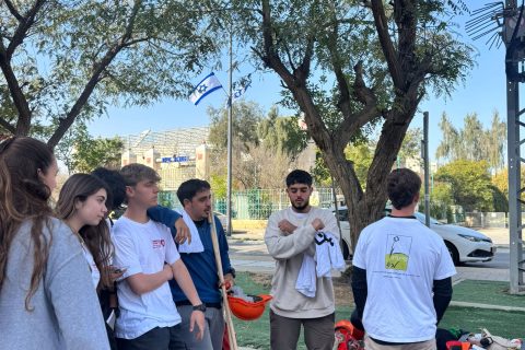 WhatsApp Image 2026-03-07 at 19.23.47