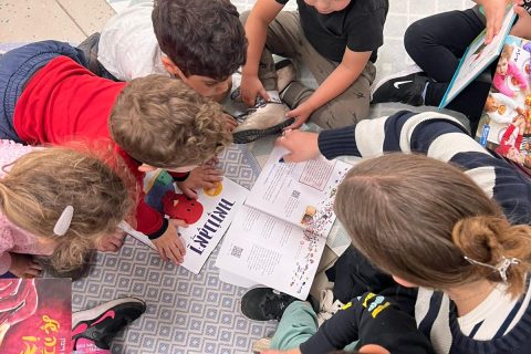 תמונה של WhatsApp_ 2025-06-23 בשעה 12.24.17_83b80641